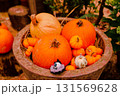 箱根のカボチャのハロウィン 131569628