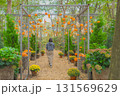 箱根のカボチャのハロウィン 131569629