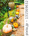 箱根のカボチャのハロウィン 131569632