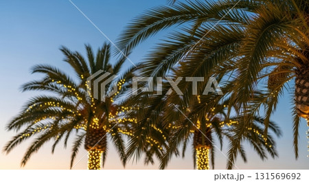 Palm trees adorned with twinkling lights at sunset Palm trees adorned with twinkling lights at sunset 131569692