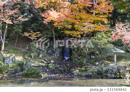 紅葉真っ盛りの金沢　日本三名園のひとつ兼六園 131569842
