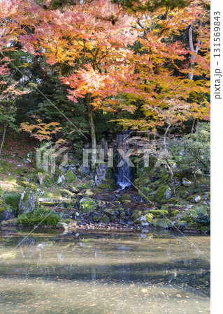 紅葉真っ盛りの金沢　日本三名園のひとつ兼六園 131569843