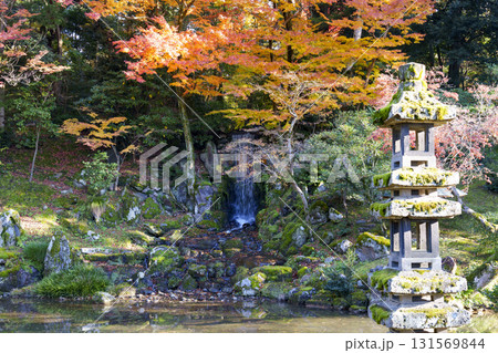 紅葉真っ盛りの金沢　日本三名園のひとつ兼六園 131569844