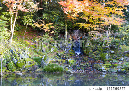 紅葉真っ盛りの金沢　日本三名園のひとつ兼六園 131569875