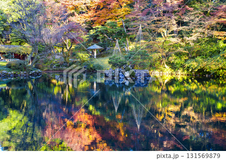 紅葉真っ盛りの金沢　日本三名園のひとつ兼六園 131569879