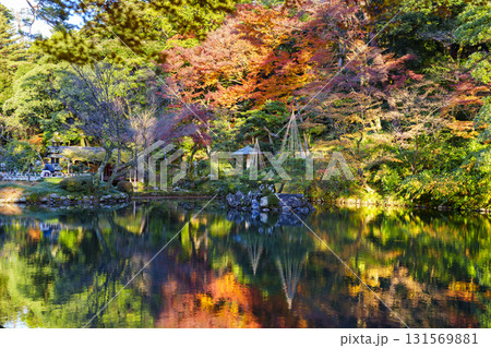 紅葉真っ盛りの金沢　日本三名園のひとつ兼六園 131569881