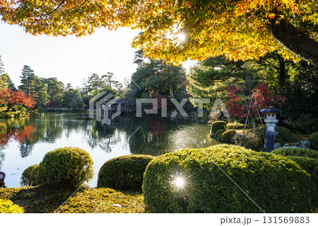 紅葉真っ盛りの金沢 日本三名園のひとつ兼六園 紅葉真っ盛りの金沢 日本三名園のひとつ兼六園 131569883