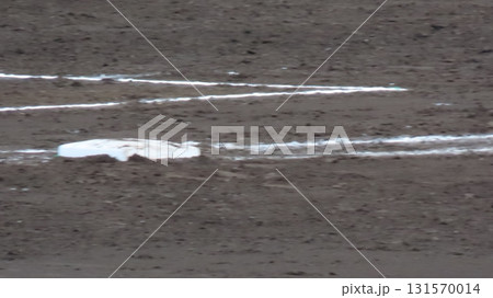 ファーストベース 131570014