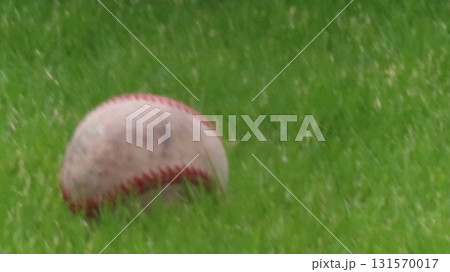芝生の上の硬球 131570017