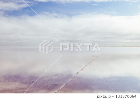 Lake Tyrrell in Victoria Australia 131570064