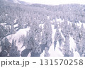 Snow Monsters Forest at Mount Zao Japan 131570258