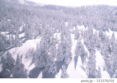 Snow Monsters Forest at Mount Zao Japan Snow Monsters Forest at Mount Zao Japan 131570258