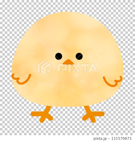 Cute face chick Cute face chick 131570673