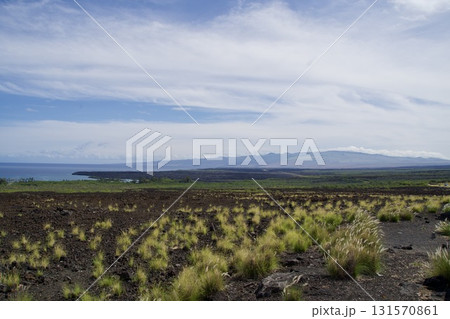 ハワイ島の雄大な大地の風景 131570861