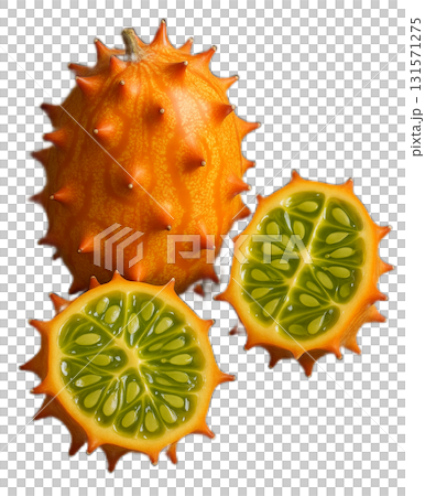 キワノ キワノ 131571275