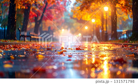 秋のイメージ　雨に濡れた紅葉の通り道 131571798