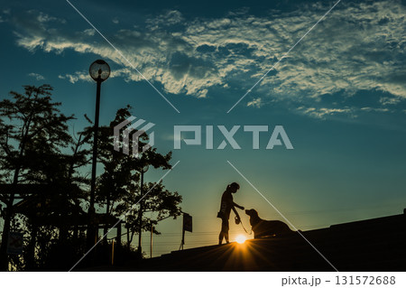夕暮れの丘で愛犬と戯れる 131572688
