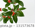 千両のイメージ素材 131573678