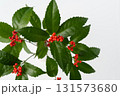 千両のイメージ素材 131573680