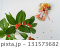 お正月花の千両としめ飾り 131573682
