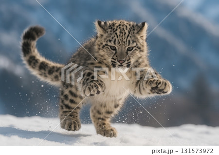Playful Snow Leopard Cub Jumping in Winter Mountains Playful Snow Leopard Cub Jumping in Winter Mountains 131573972