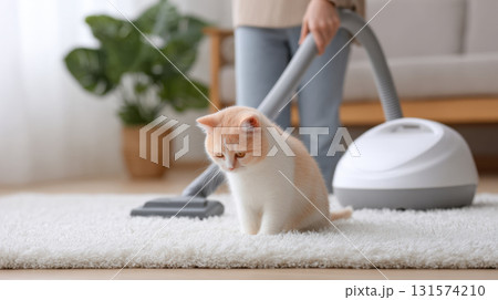 Unhappy and scared cat sits on carpet while person does housework cleaning home with vacuum cleaner. small pet dislikes loud noise from domestic appliance 131574210