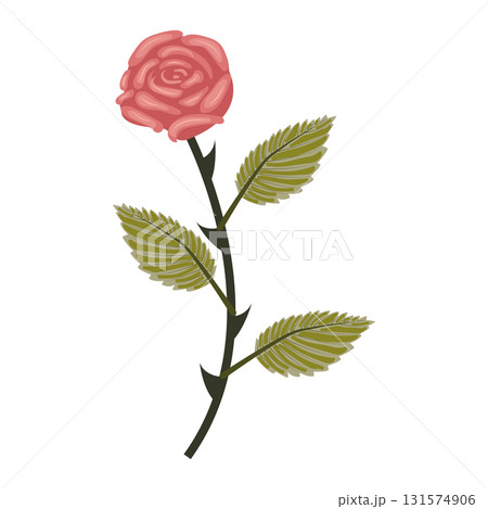 Dusty pink rose. Flower on a stem with leaves. Vector illustration isolated on a white background. 131574906