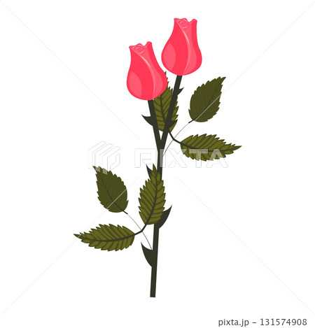 Bright pink rose. Flower on a stem with leaves. Vector illustration isolated on a white background. Bright pink rose. Flower on a stem with leaves. Vector illustration isolated on a white background. 131574908