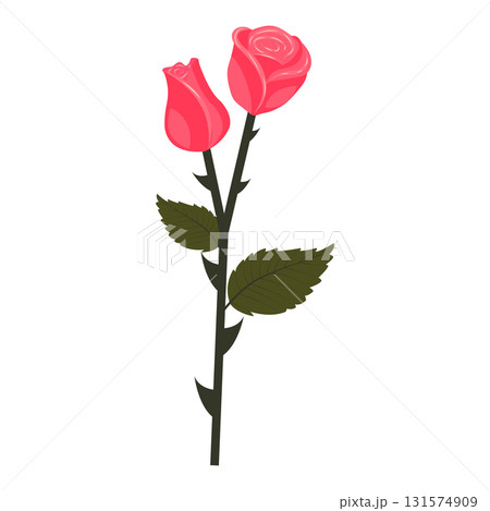 Bright pink rose. Flower on a stem with leaves. Vector illustration isolated on a white background. Bright pink rose. Flower on a stem with leaves. Vector illustration isolated on a white background. 131574909
