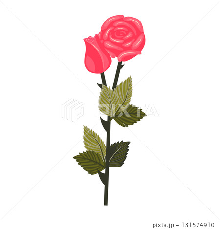 Bright pink rose. Flower on a stem with leaves. Vector illustration isolated on a white background. Bright pink rose. Flower on a stem with leaves. Vector illustration isolated on a white background. 131574910