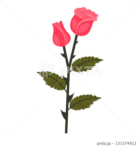 Bright pink rose. Flower on a stem with leaves. Vector illustration isolated on a white background. Bright pink rose. Flower on a stem with leaves. Vector illustration isolated on a white background. 131574911