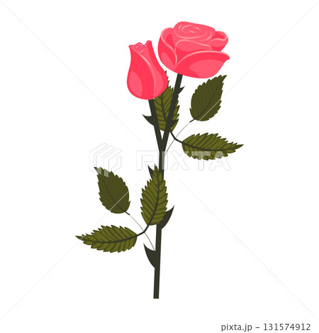 Bright pink rose. Flower on a stem with leaves. Vector illustration isolated on a white background. 131574912
