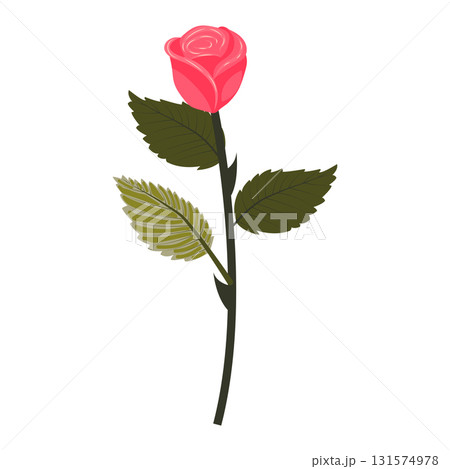 Bright pink rose. Flower on a stem with leaves. Vector illustration isolated on a white background. Bright pink rose. Flower on a stem with leaves. Vector illustration isolated on a white background. 131574978
