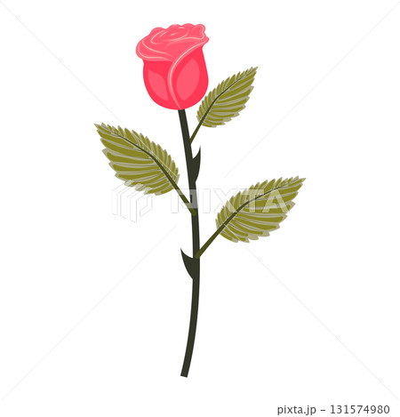 Bright pink rose. Flower on a stem with leaves. Vector illustration isolated on a white background. Bright pink rose. Flower on a stem with leaves. Vector illustration isolated on a white background. 131574980