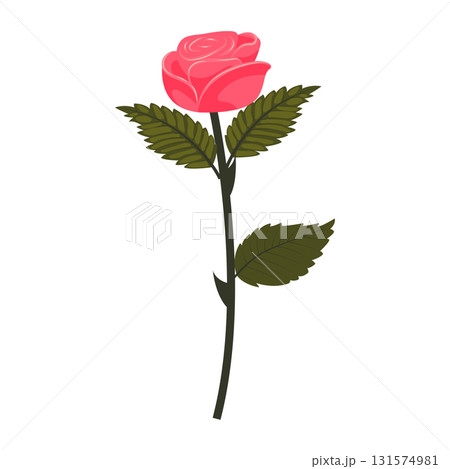 Bright pink rose. Flower on a stem with leaves. Vector illustration isolated on a white background. Bright pink rose. Flower on a stem with leaves. Vector illustration isolated on a white background. 131574981