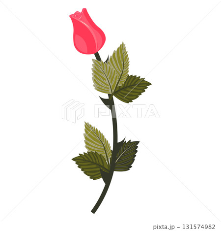 Bright pink rose. Flower on a stem with leaves. Vector illustration isolated on a white background. Bright pink rose. Flower on a stem with leaves. Vector illustration isolated on a white background. 131574982