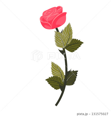 Bright pink rose. Flower on a stem with leaves. Vector illustration isolated on a white background. Bright pink rose. Flower on a stem with leaves. Vector illustration isolated on a white background. 131575027