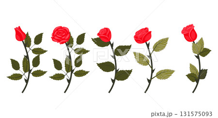 Set of bright red roses. Five flowers on curved stems. Vector illustration on white background. Set of bright red roses. Five flowers on curved stems. Vector illustration on white background. 131575093