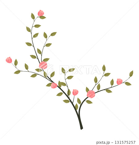 A young rose bush with blooming light pink roses. Vector illustration on a white background. A young rose bush with blooming light pink roses. Vector illustration on a white background. 131575257