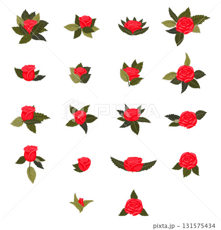 Red rose heads decorated with foliage. A set of elements for your design. Vector illustration on a white background. 131575434