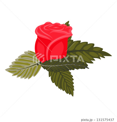 Red rose flower with leaves. Vector illustration on a white background. Red rose flower with leaves. Vector illustration on a white background. 131575437
