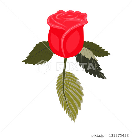 Red rose flower with leaves. Vector illustration on a white background. 131575438