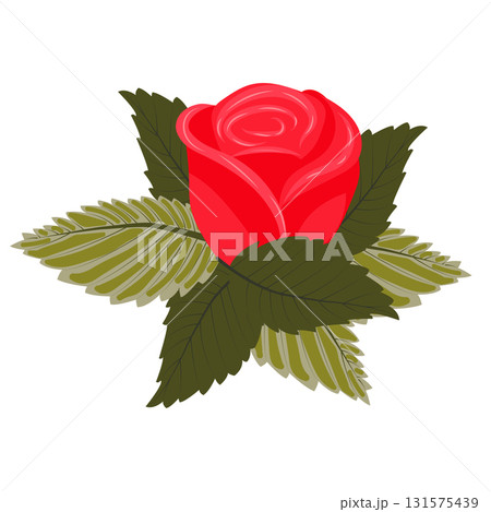 Red rose flower with leaves. Vector illustration on a white background. Red rose flower with leaves. Vector illustration on a white background. 131575439