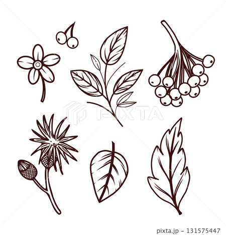 A set of vector illustrations, autumn leaves, berries and plants. Everything is hand-drawn in vector. The illustration is suitable for printing on fabric, paper, creativity and design. Vector A set of vector illustrations, autumn leaves, berries and plants. Everything is hand-drawn in vector. The illustration is suitable for printing on fabric, paper, creativity and design. Vector 131575447