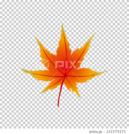 Maple single leaf 131575571