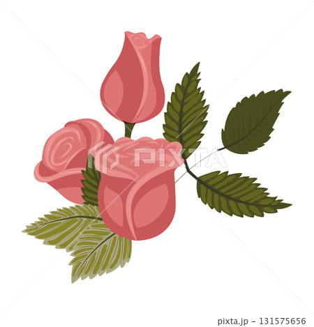 Arrangement of dusty pink roses and leaves. Vector illustration on a white background. Arrangement of dusty pink roses and leaves. Vector illustration on a white background. 131575656