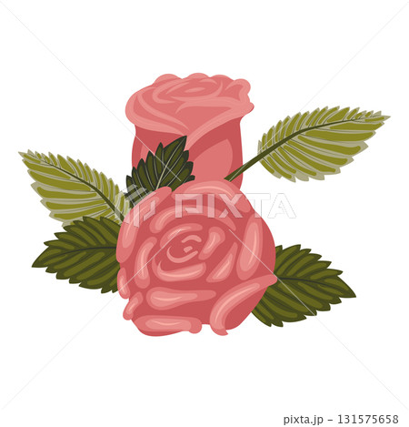 Arrangement of dusty pink roses and leaves. Vector illustration on a white background. 131575658