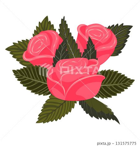 Arrangement of bright pink roses and leaves. Vector illustration on a white background. 131575775
