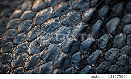 closeup reptile skin texture exotic animal scale pattern background closeup reptile skin texture exotic animal scale pattern background 131575922