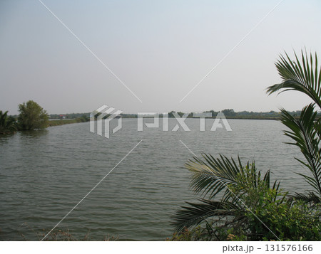 Calm freshwater lake with gentle ripples framed by palm frond and shoreline vegetation under pale sky, evoking peaceful outdoor atmosphere Calm freshwater lake with gentle ripples framed by palm frond and shoreline vegetation under pale sky, evoking peaceful outdoor atmosphere 131576166
